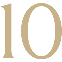 icon 10
